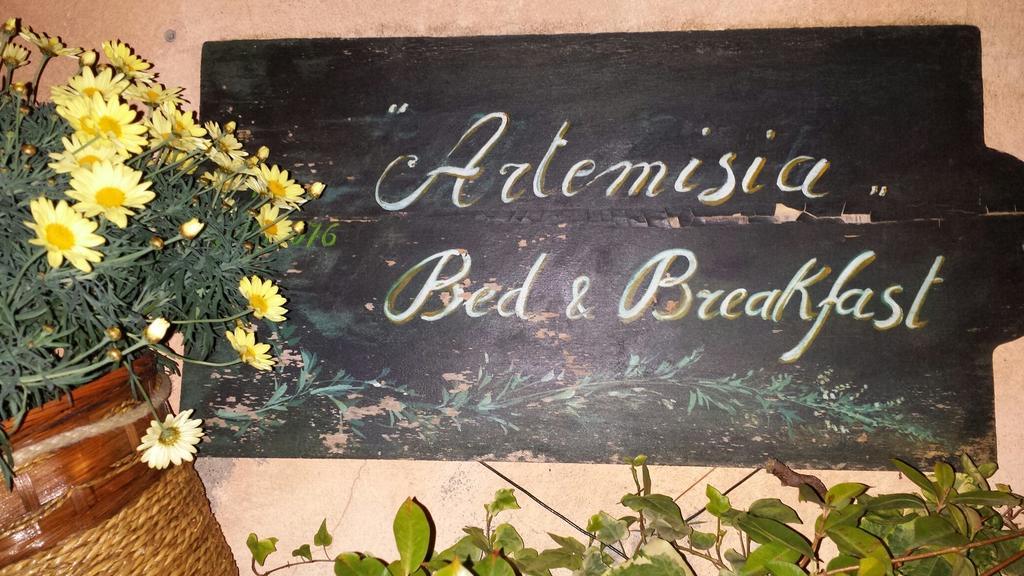 Artemisia B&B אלבניה מראה חיצוני תמונה